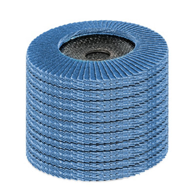 BLOSTM Flap Discs - Pack Of 10