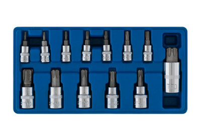 Blue Spot Tools - 13PCE Torx Socket Bit Set (T8-T60)