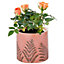 Blush Pink Fern Ceramic Planter
