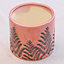 Blush Pink Fern Ceramic Planter