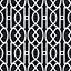 Bobbi Beck eco friendly Black modern trellis Wallpaper