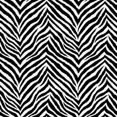 Bobbi Beck eco-friendly black zebra print wallpaper