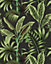 Bobbi Beck eco-friendly Green bold tropical wallpaper