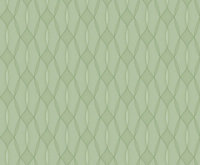 Bobbi Beck eco-friendly Green spirograph cicle wallpaper