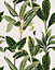 Bobbi Beck eco-friendly White vintage tropical wallpaper