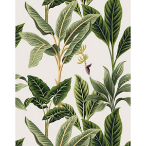 Bobbi Beck eco-friendly White vintage tropical wallpaper