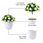 Bonicxane Set of 3 Artificial Plants Faux Succulent for Bedroom Office Desk & Home Decor Warm Ambience