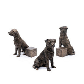 Border Terrier Plant Pot Feet - Set of 3 - L7.5 x W8.5 x H9 cm