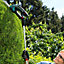 Bosch F016800615 Telescopic Handle 80-115cm for ISIO 3 III Shrub + Grass Shears