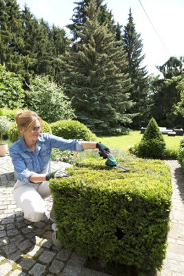 Bosch isio cordless shrub best sale & grass shear set