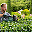 Bosch Universal HedgeCut Electric Hedge Cutter Garden Trimmer 50cm Blade