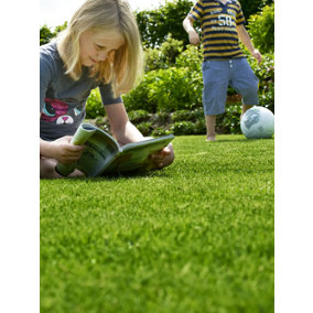 Boston Seeds BS Childs Play Lawn Seed (1 x 10kg)