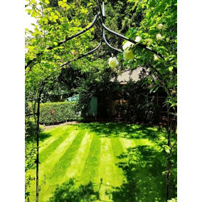 Boston Seeds BS Shady Place Grass Seed (25 x 20kg)