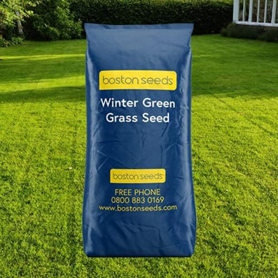 Boston Seeds BS Winter Green Grass Seed (25 x 20kg) DIY at B&Q