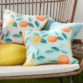 Botanical Fruits Outdoor Water & UV Resistant Filled Cushion