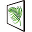 Botanical leaf (Picutre Frame) / 12x12" / White