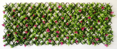 Bougainvillea Willow YOJ865MAL Pink Trellis 180 x 60cm | DIY at B&Q