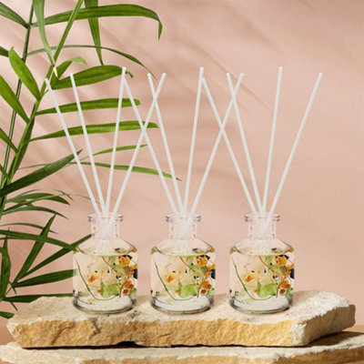 Boutique Honey Suckle & Davana Floral Reed Diffuser Set of 3 Gift Set