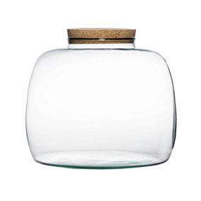 Bowl Shape Large Terrarium DIY Kit - Glass - L30 x W30 x H23 cm - Clear