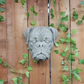 Boxer Dog Head Stone Wall Plaque