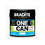 Bradite One Can Matt Multi-Surface Primer and Finish (OC63) 2.5L - (RAL 8025) Pale brown