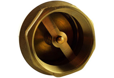 Brass Spring Check Valve 1/2 BSPF