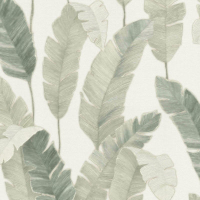 BRICOFLOR Jungle leaves wallpaper green Banana wallpaper with large leaves Tropical oasis wallpaper for bedrooms 10,05 x 0,53 m