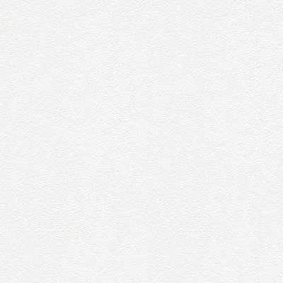 BRICOFLOR Non-woven wallpaper, paintable wallpaper in white - 10,05 x 0,53 m