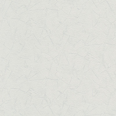 BRICOFLOR Non-woven wallpaper, paintable wallpaper in white - 10,05 x 0,53 m