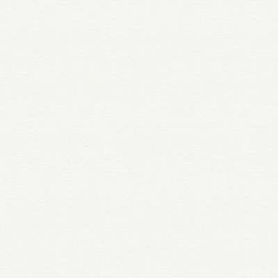BRICOFLOR Non-woven wallpaper, paintable wallpaper in white - 25,00 x 1,06 m