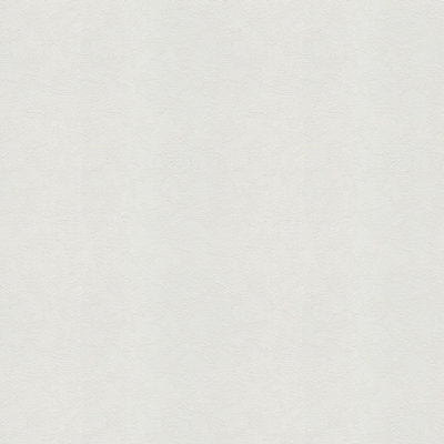 BRICOFLOR Non-woven wallpaper, paintable wallpaper in white - 25,00 x 1,06 m