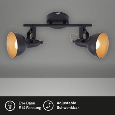 Briloner Economytec 1 Light Ceiling Light | Wayfair.co.uk