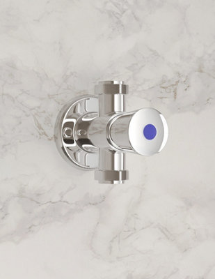 Bristan Timed Non Concussive Exposed Shower Valve Self Closing Gym Pool ...