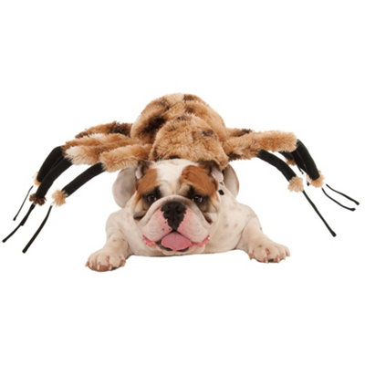 Black spider dog outlet costume