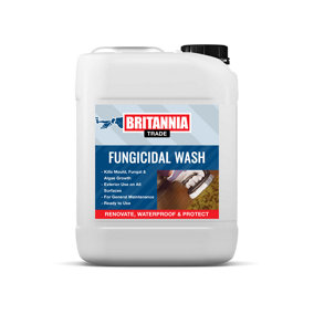 Britannia Paints Fungicidal Wash Solution 15 litres - For Treating & Controlling Fungal & Algal Growth