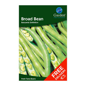 Broad Bean Bunyards Exhibition (Vicia faba)