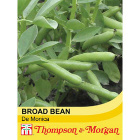 Broad Bean De Monica 1 Seed Packet (40 Seeds)
