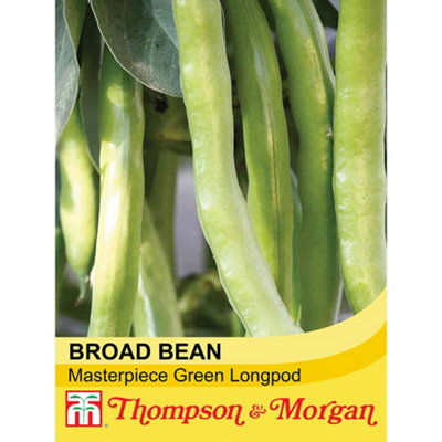 Broad Bean Masterpiece Green Longpod 1 Seed Packet (30 Seeds) | DIY At B&Q