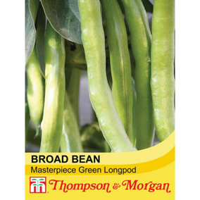 Broad Bean Masterpiece Green Longpod 1 Seed Packet  (30 Seeds)