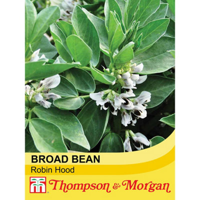 broad-bean-robin-hood-1-seed-packet-35-seeds