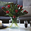 Broadwell Funnel Neck Vase - Modern Clear Glass Vase for Fresh or Artificial Flower Stem or Bouquet Arrangements - H19 x 15cm