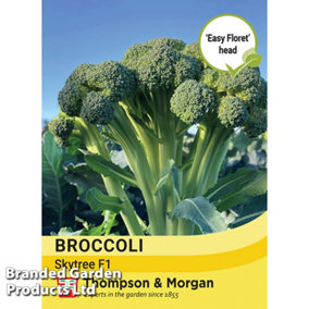 Broccoli (Easy Floret) Skytree F1 1 Seed Packet (15 Seeds)