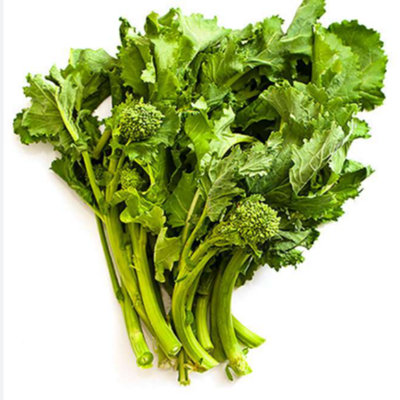 Broccoli Raab Bio Herb Seeds for Planting UK 800 seed