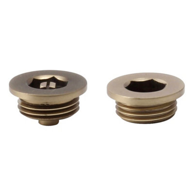Brushed Brass Manual Radiator Air Vent & Blanking Plug Set, 1/2