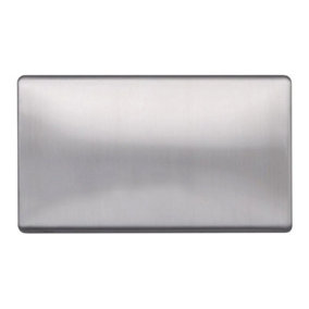 Brushed Chrome Screwless Plate  Double Blank Plates - SE Home