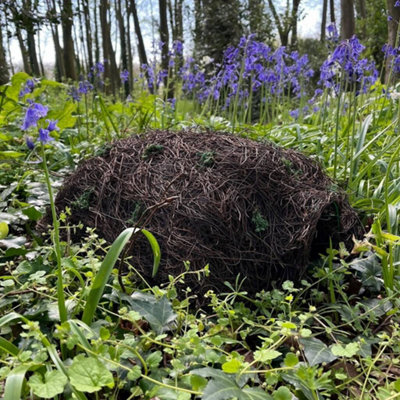 Brushwood Hogitat Hedgehog House Shelter Price Comparisons | Compare The Build