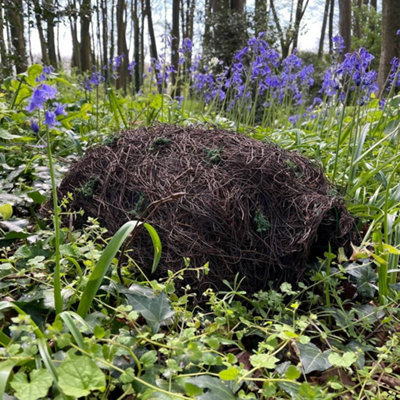 Brushwood Hogitat Hedgehog House Shelter - 5