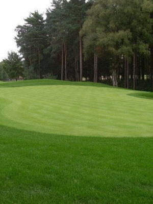 BS Bowling & Putting Green Grass Seed (1 x 10kg)