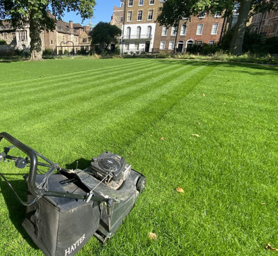 BS Quality Hard Wearing Lawn Seed (1 x 10kg)