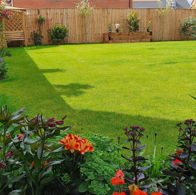 BS Quality Hard Wearing Lawn Seed (1 x 20kg)